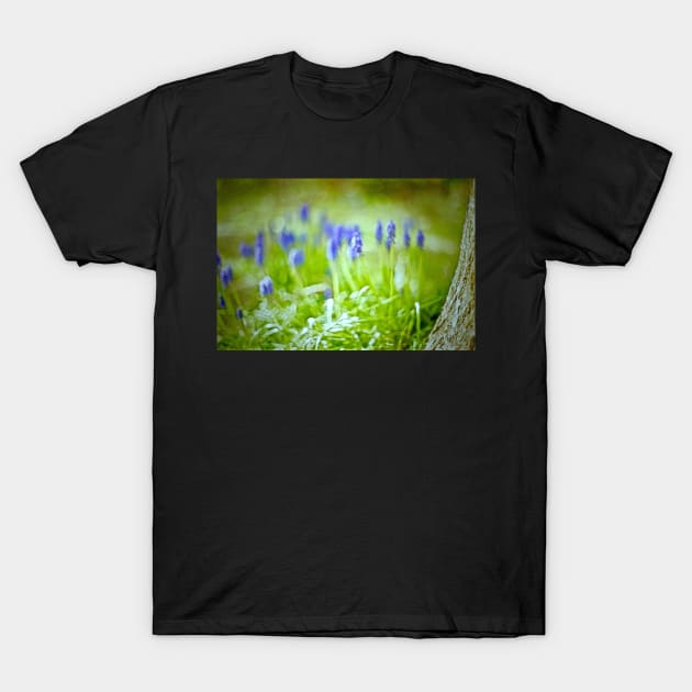 MUSCARI WOODS T-Shirt by dumbodancer